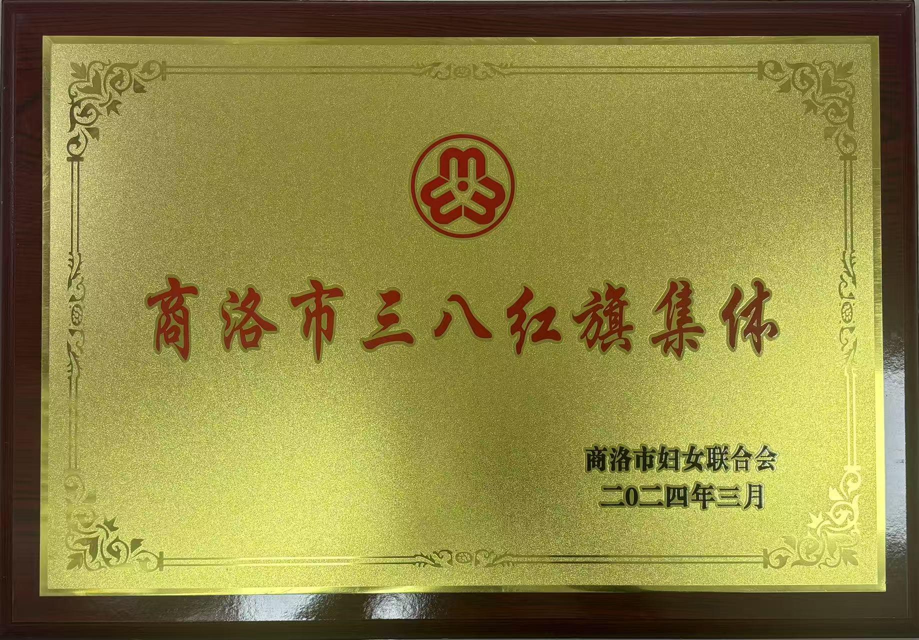 商洛市三八紅旗集體